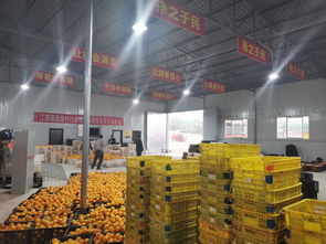 南溪區(qū)江南鎮(zhèn)農(nóng)產(chǎn)品初加工廠 熱火朝天促加工，農(nóng)副產(chǎn)品暢銷路