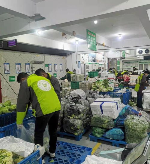 織里供銷出硬招，服務(wù)保障暖人心——初級農(nóng)產(chǎn)品收購工作見實效