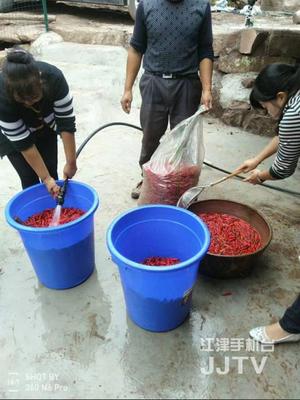 身手不凡的'四屏親戚' 科技助力初級農(nóng)產(chǎn)品收購，精準(zhǔn)幫扶貧困戶增收